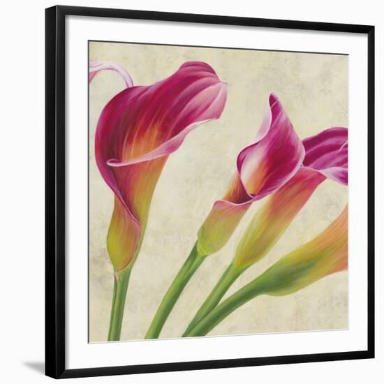 Calla Parade II-Luca Villa-Framed Art Print