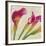 Calla Parade II-Luca Villa-Framed Art Print