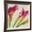 Calla Parade II-Luca Villa-Framed Art Print