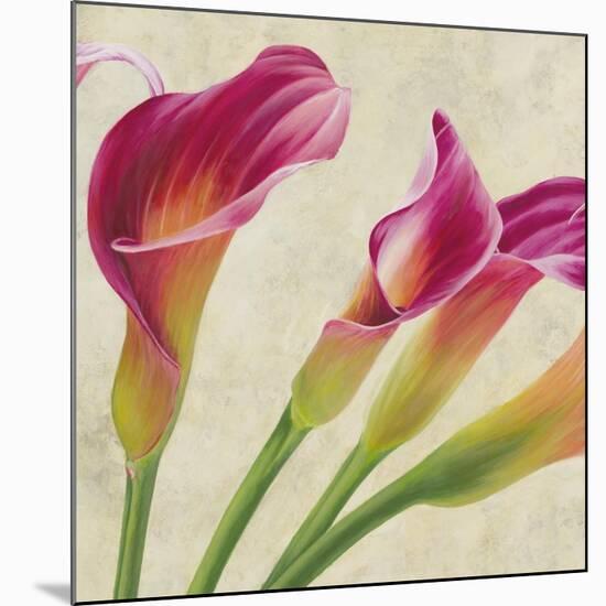 Calla Parade II-Luca Villa-Mounted Art Print