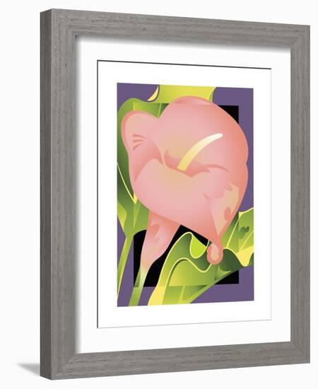 Calla Pink-David Chestnutt-Framed Giclee Print