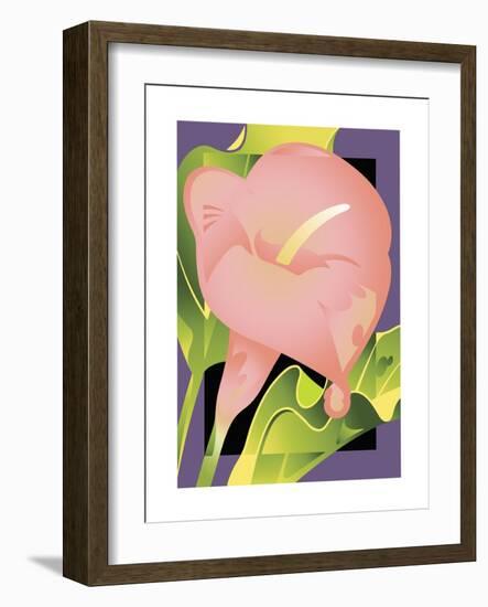 Calla Pink-David Chestnutt-Framed Giclee Print