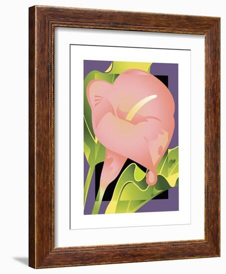 Calla Pink-David Chestnutt-Framed Giclee Print