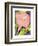 Calla Pink-David Chestnutt-Framed Giclee Print