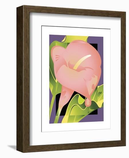 Calla Pink-David Chestnutt-Framed Giclee Print