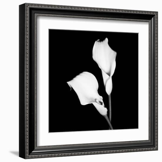 Calla Portrait I-Jeff Maihara-Framed Art Print