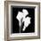 Calla Portrait II-Jeff Maihara-Framed Art Print