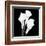 Calla Portrait II-Jeff Maihara-Framed Art Print