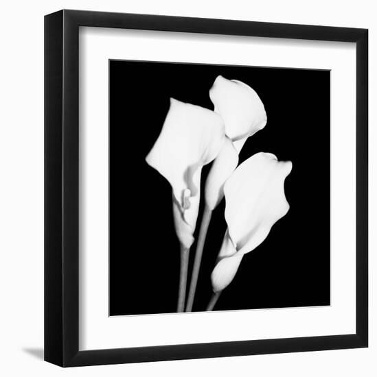 Calla Portrait II-Jeff Maihara-Framed Art Print