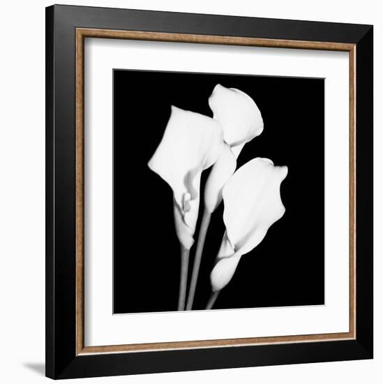 Calla Portrait II-Jeff Maihara-Framed Art Print