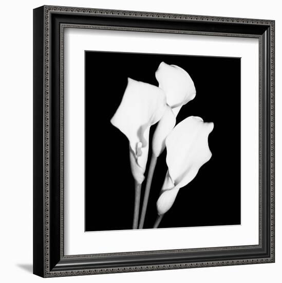 Calla Portrait II-Jeff Maihara-Framed Art Print