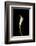 Calla Study-Anna Miller-Framed Photographic Print