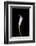 Calla Study-Anna Miller-Framed Photographic Print