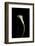 Calla Study-Anna Miller-Framed Photographic Print