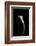 Calla Study-Anna Miller-Framed Photographic Print