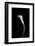 Calla Study-Anna Miller-Framed Photographic Print