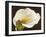 Calla-Serena Biffi-Framed Art Print