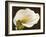 Calla-Serena Biffi-Framed Art Print