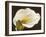 Calla-Serena Biffi-Framed Art Print