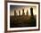 Callanish Standing Stones, Isle of Lewis, Outer Hebrides, Scotland-Patrick Dieudonne-Framed Photographic Print