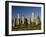 Callanish Standing Stones, Isle of Lewis, Outer Hebrides, Scotland-Patrick Dieudonne-Framed Photographic Print