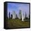 Callanish Standing Stones, Lewis, Outer Hebrides, Scotland, UK, Europe-Michael Jenner-Framed Premier Image Canvas