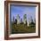 Callanish Standing Stones, Lewis, Outer Hebrides, Scotland, UK, Europe-Michael Jenner-Framed Photographic Print