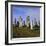 Callanish Standing Stones, Lewis, Outer Hebrides, Scotland, UK, Europe-Michael Jenner-Framed Photographic Print