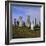 Callanish Standing Stones, Lewis, Outer Hebrides, Scotland, UK, Europe-Michael Jenner-Framed Photographic Print