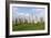 Callanish Stones, Isle of Lewis, Outer Hebrides, Scotland, 2009-Peter Thompson-Framed Photographic Print