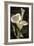 Callas I-John Seba-Framed Premium Giclee Print