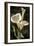 Callas I-John Seba-Framed Premium Giclee Print