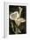 Callas I-John Seba-Framed Premium Giclee Print