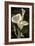 Callas I-John Seba-Framed Art Print