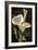 Callas I-John Seba-Framed Art Print