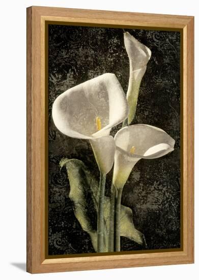 Callas I-John Seba-Framed Stretched Canvas