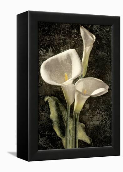 Callas I-John Seba-Framed Stretched Canvas