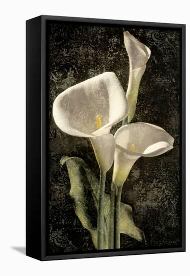 Callas I-John Seba-Framed Stretched Canvas