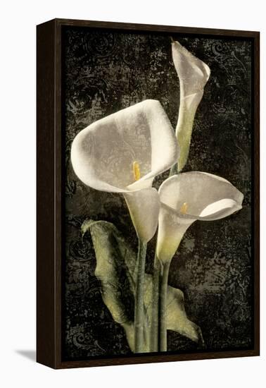 Callas I-John Seba-Framed Stretched Canvas