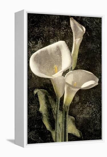 Callas I-John Seba-Framed Stretched Canvas