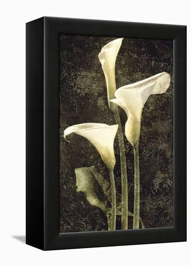 Callas II-John Seba-Framed Stretched Canvas