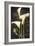 Callas II-John Seba-Framed Art Print