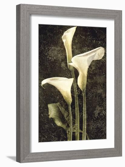 Callas II-John Seba-Framed Art Print