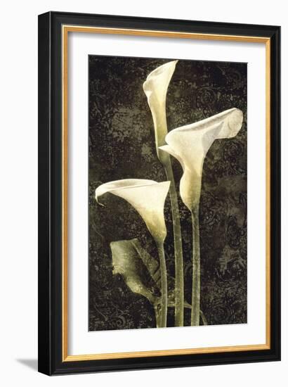 Callas II-John Seba-Framed Premium Giclee Print