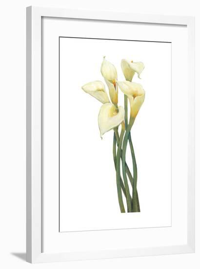 Callas on Silver I-Tim OToole-Framed Art Print