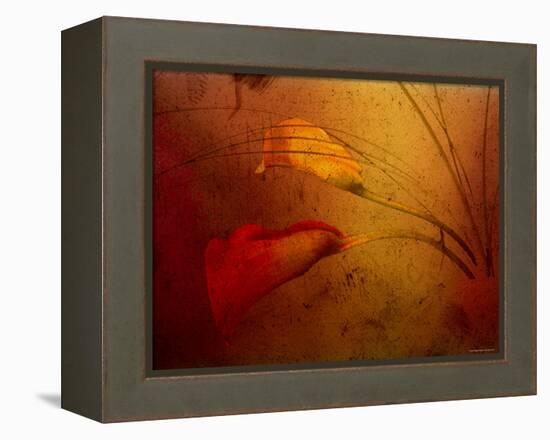 Callas-Katherine Sanderson-Framed Premier Image Canvas