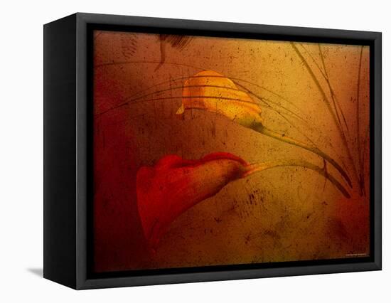 Callas-Katherine Sanderson-Framed Premier Image Canvas