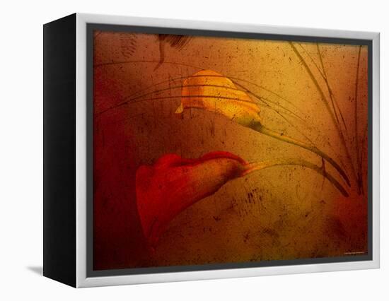 Callas-Katherine Sanderson-Framed Premier Image Canvas