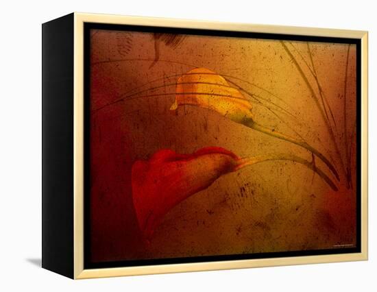 Callas-Katherine Sanderson-Framed Premier Image Canvas