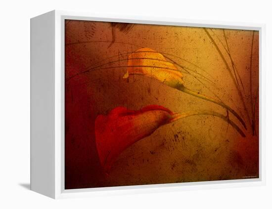 Callas-Katherine Sanderson-Framed Premier Image Canvas